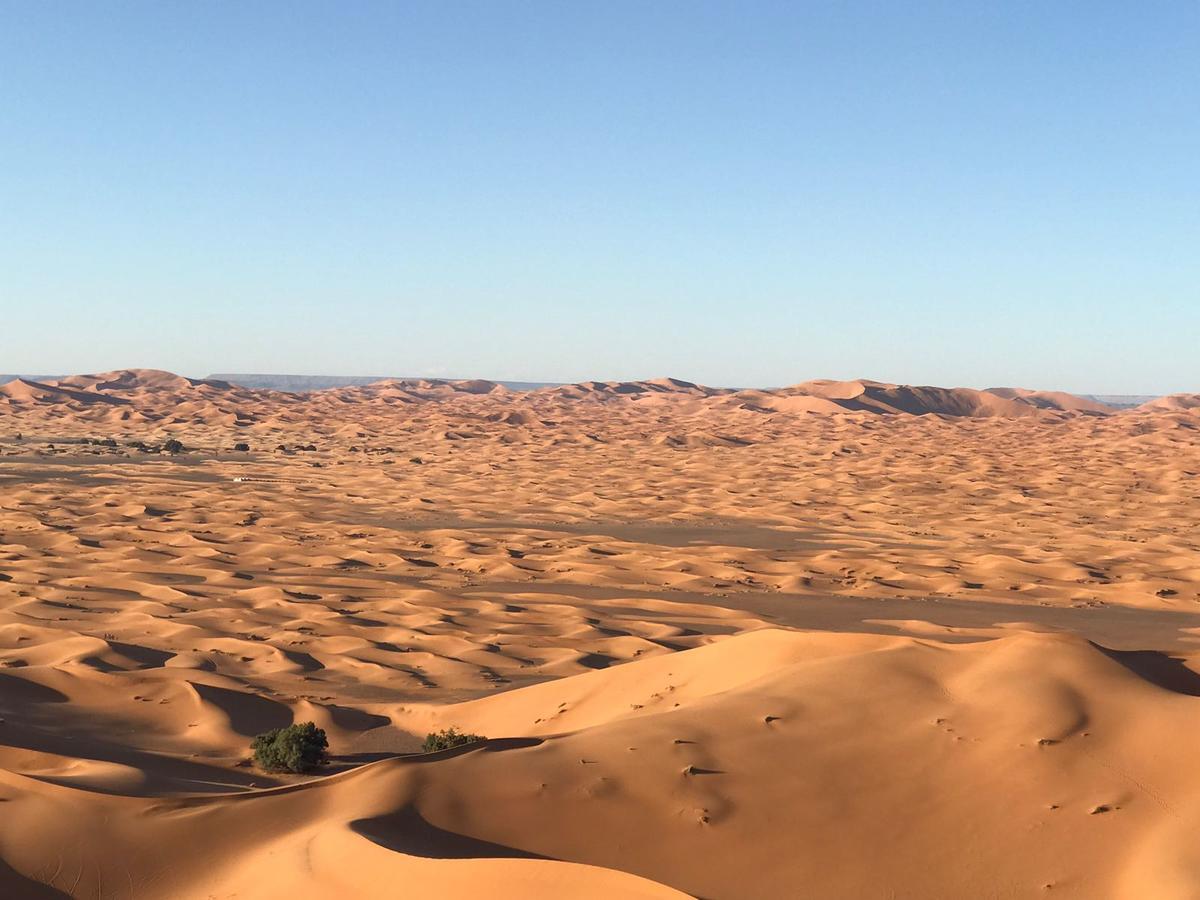 Riad Marhaba Merzane Luaran gambar