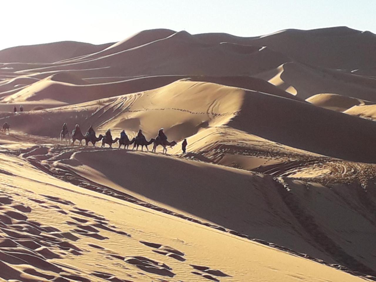 Riad Marhaba Merzane Luaran gambar